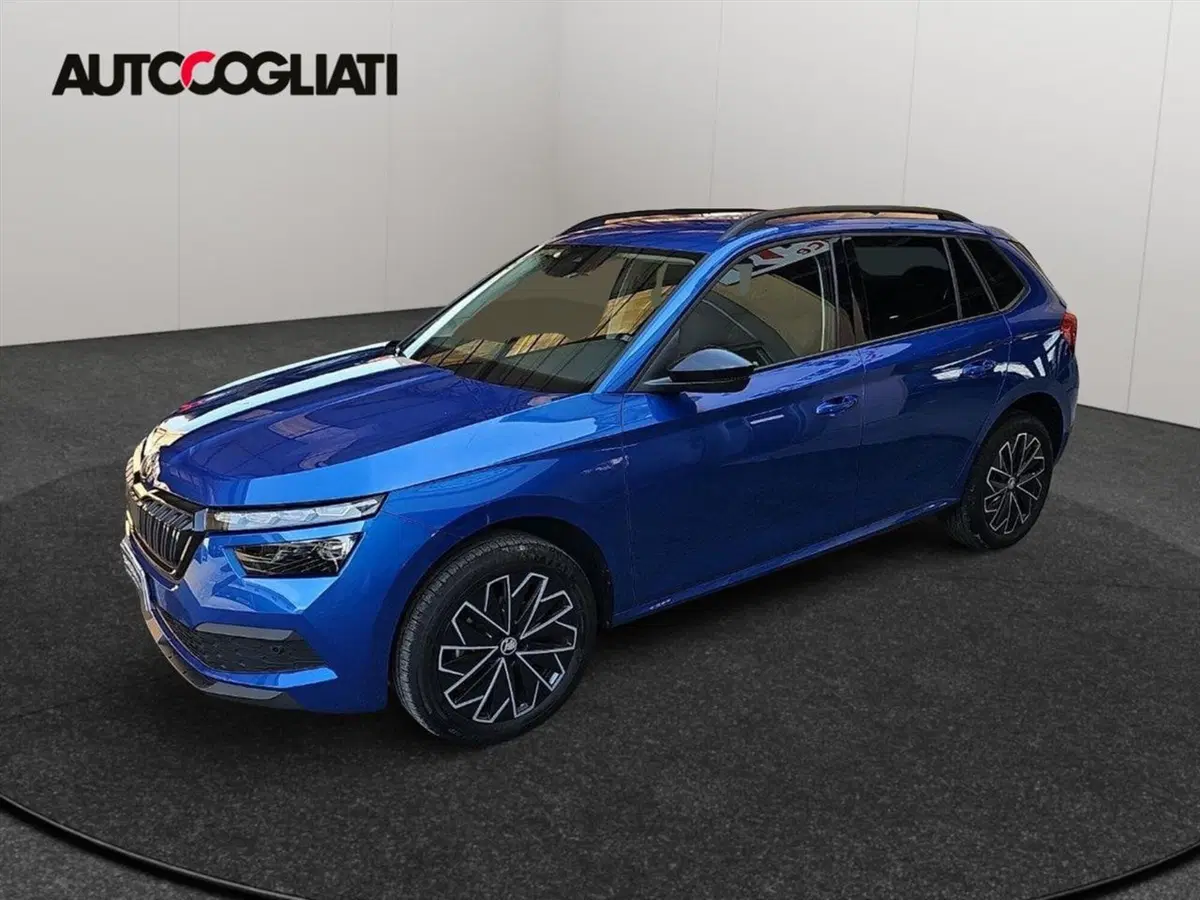 Skoda Kamiq usata a Lecco (4)