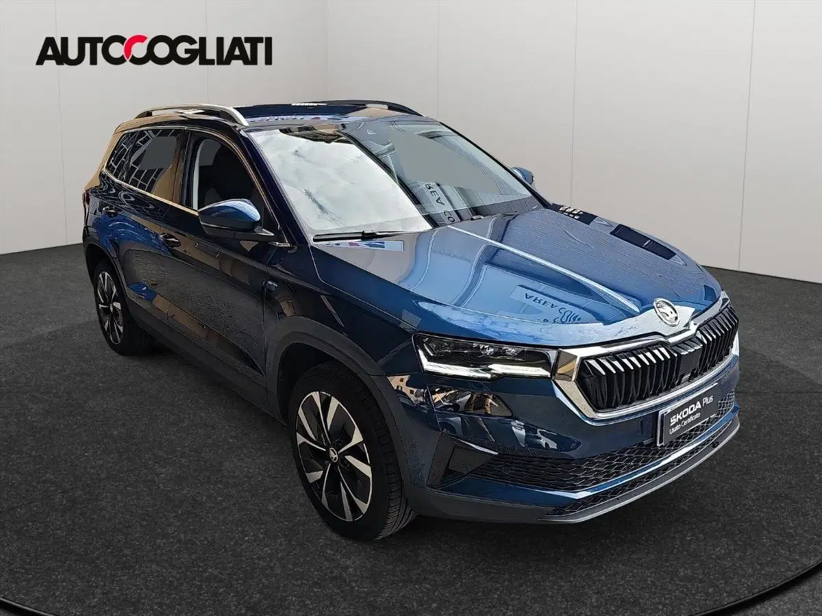 Skoda Karoq usata a Lecco (3)