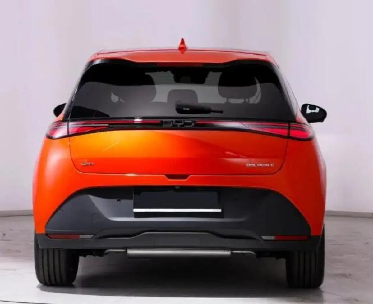 Byd Dolphin G DM-i usata a Bologna (3)