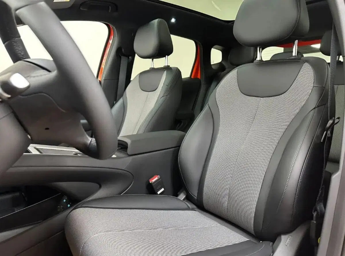 Byd Dolphin G DM-i usata a Bologna (5)
