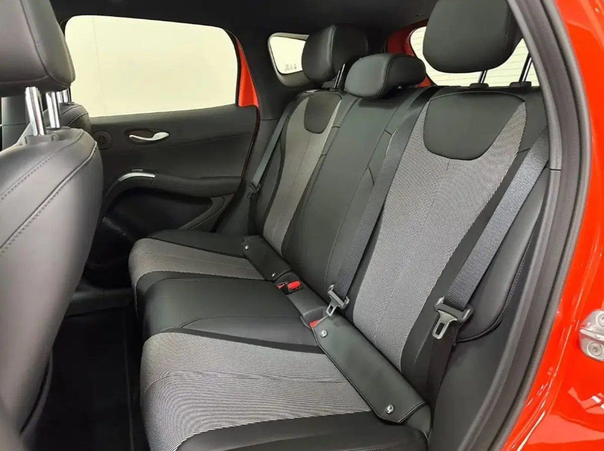 Byd Dolphin G DM-i usata a Bologna (6)