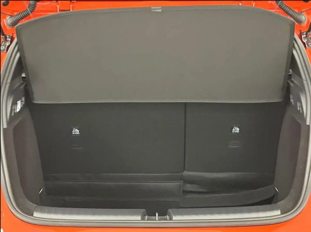 Byd Dolphin G DM-i usata a Bologna (7)
