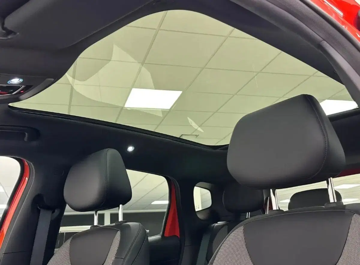 Byd Dolphin G DM-i usata a Bologna (8)