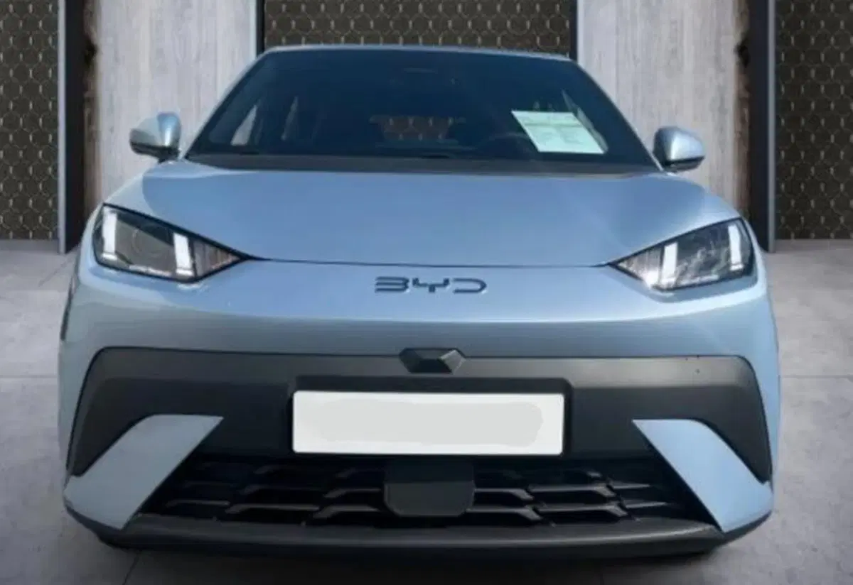 Byd Dolphin Surf nuova a Bologna (5)