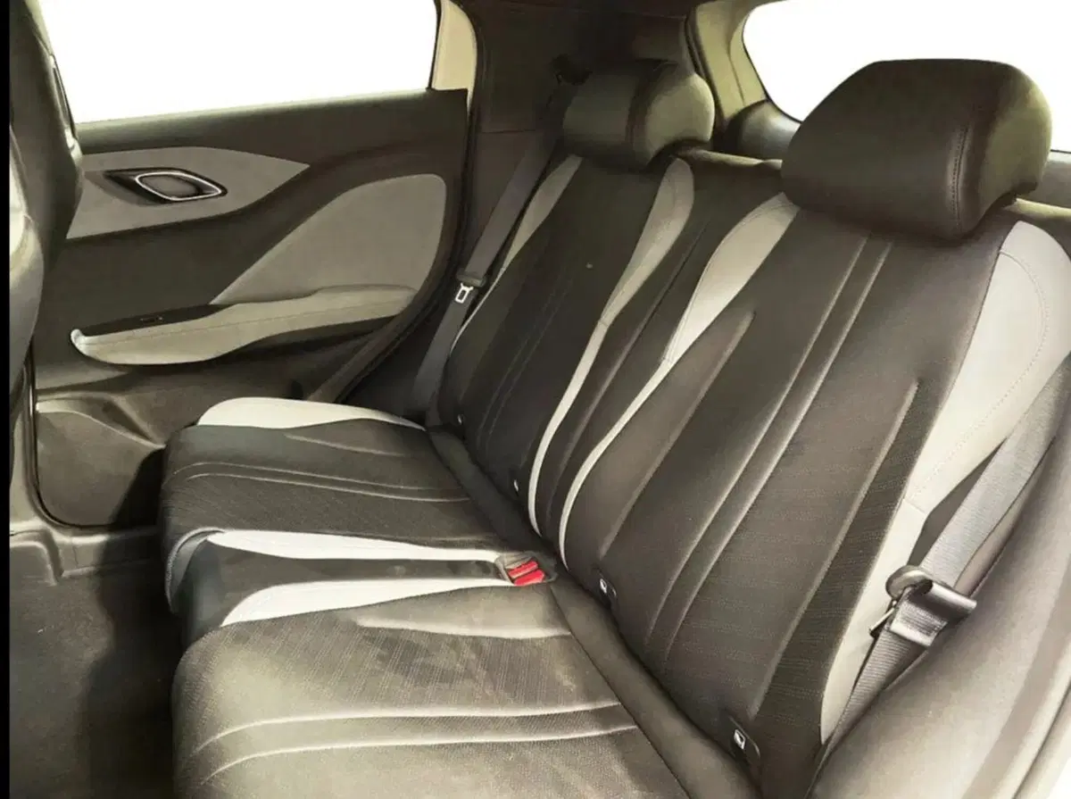 Byd Dolphin Surf nuova a Bologna (9)