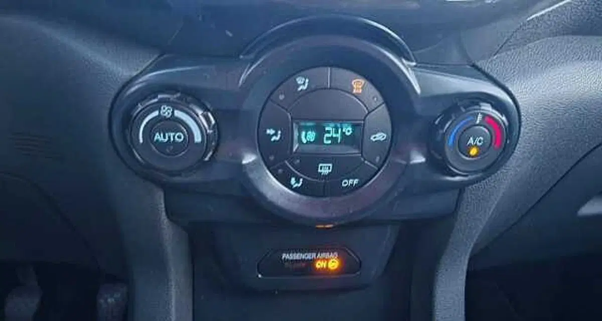 Ford EcoSport usata a Firenze (12)