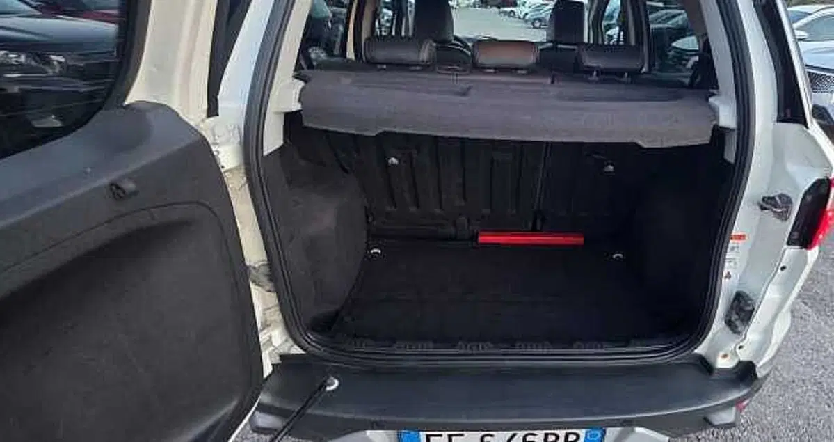 Ford EcoSport usata a Firenze (19)