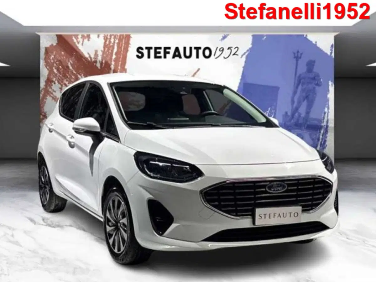 Ford Fiesta usata a Bologna