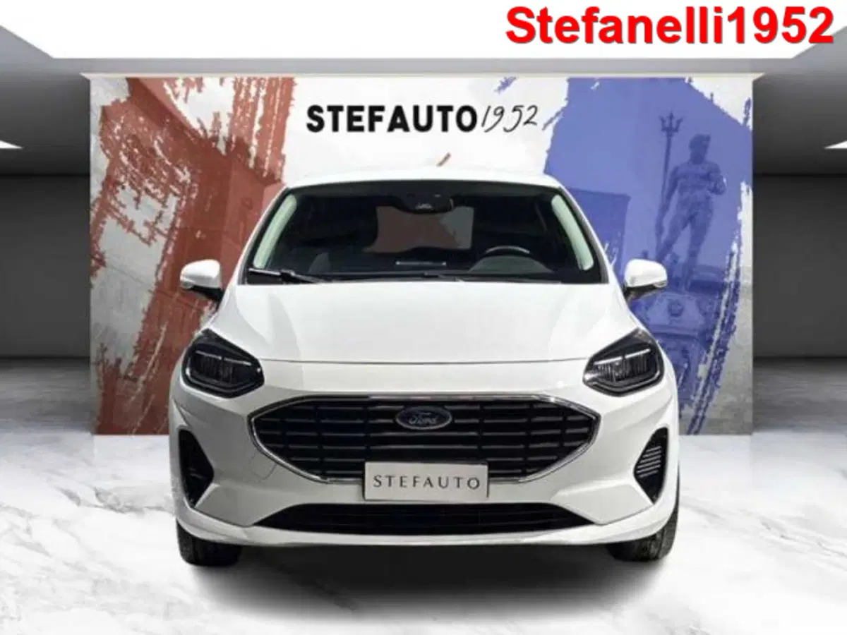 Ford Fiesta usata a Bologna (2)