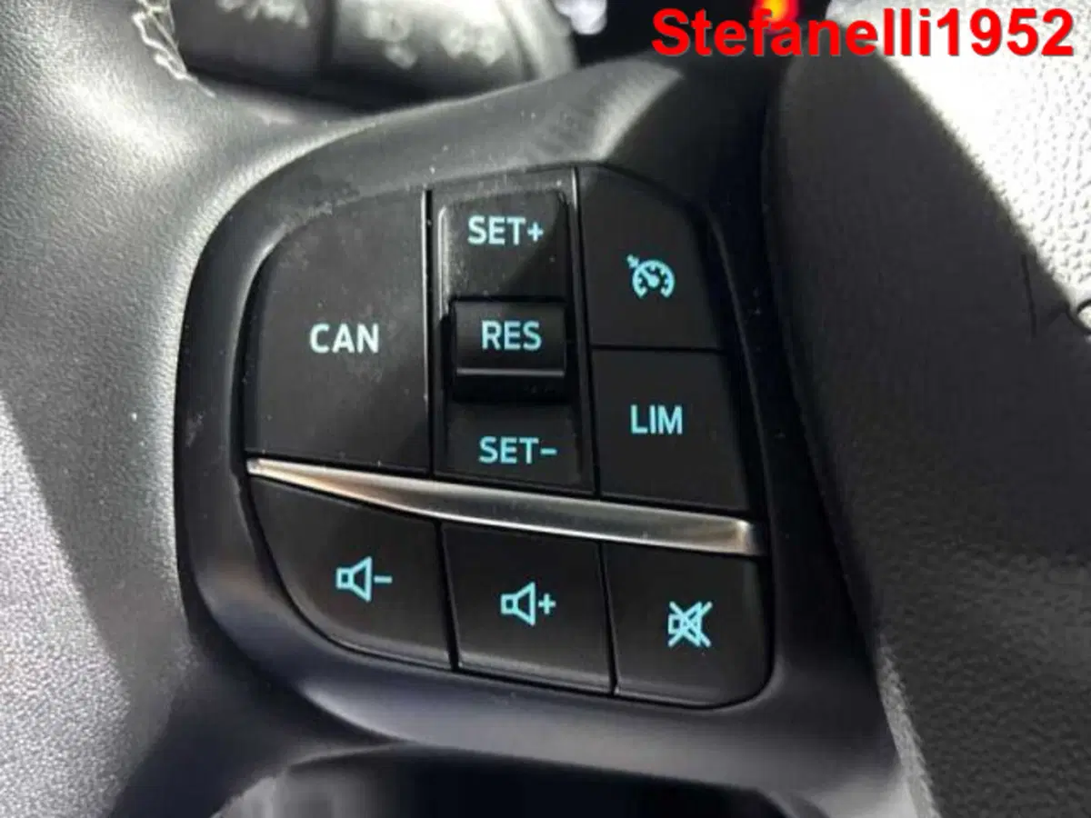 Ford Fiesta usata a Bologna (20)