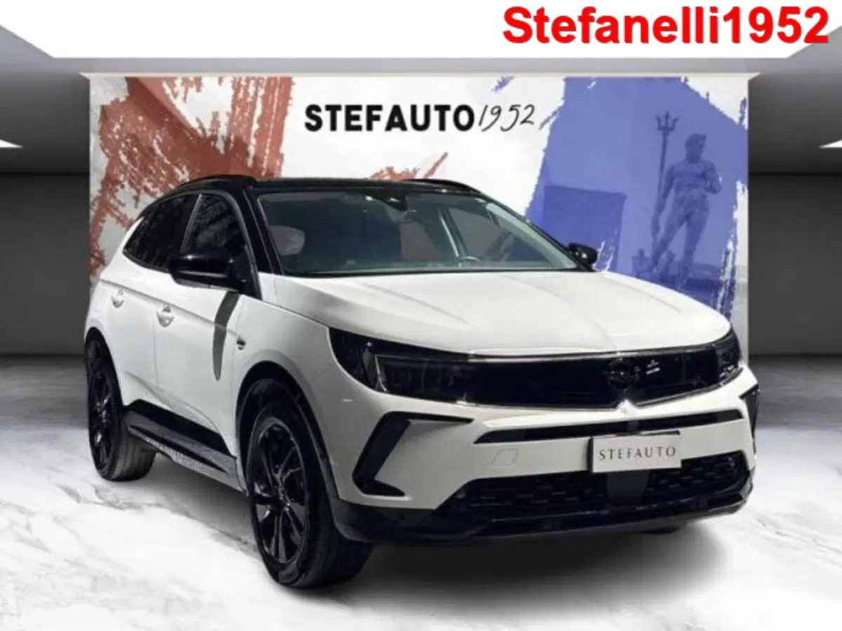 Opel Grandland X usata a Bologna