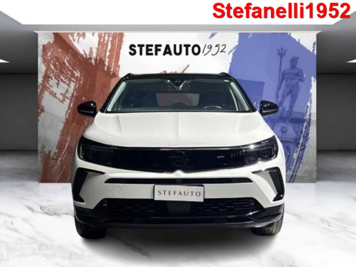 Opel Grandland X usata a Bologna (2)