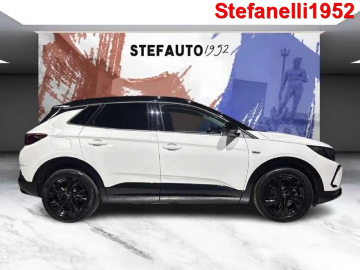 Opel Grandland X usata a Bologna (3)
