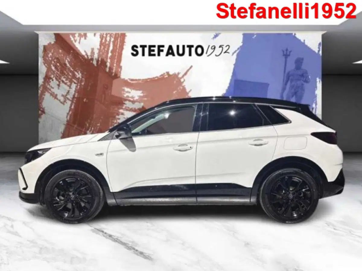 Opel Grandland X usata a Bologna (4)