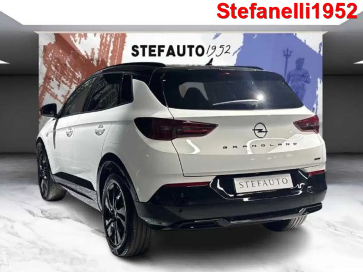 Opel Grandland X usata a Bologna (5)