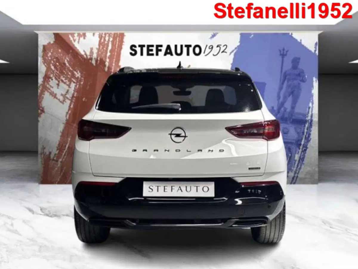 Opel Grandland X usata a Bologna (6)