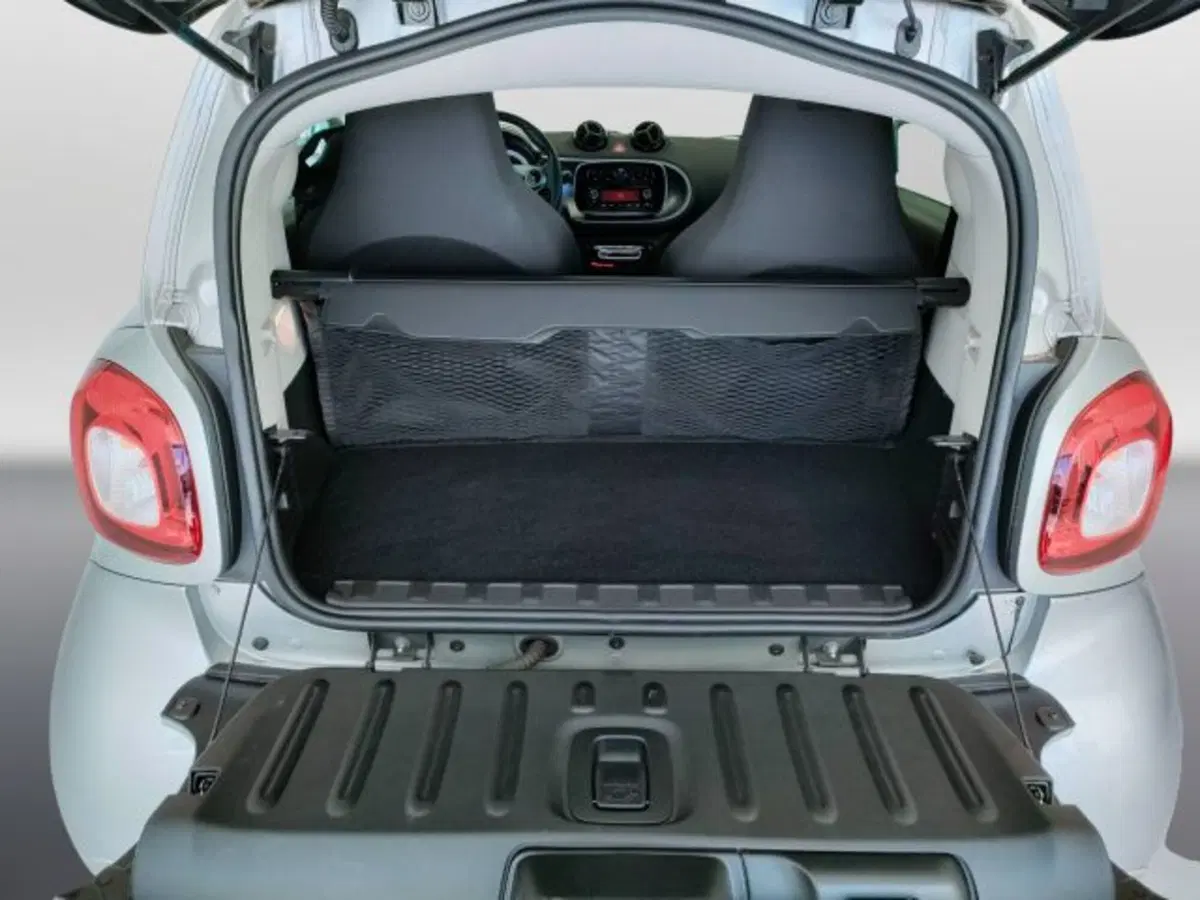 smart Fortwo usata a Teramo (11)