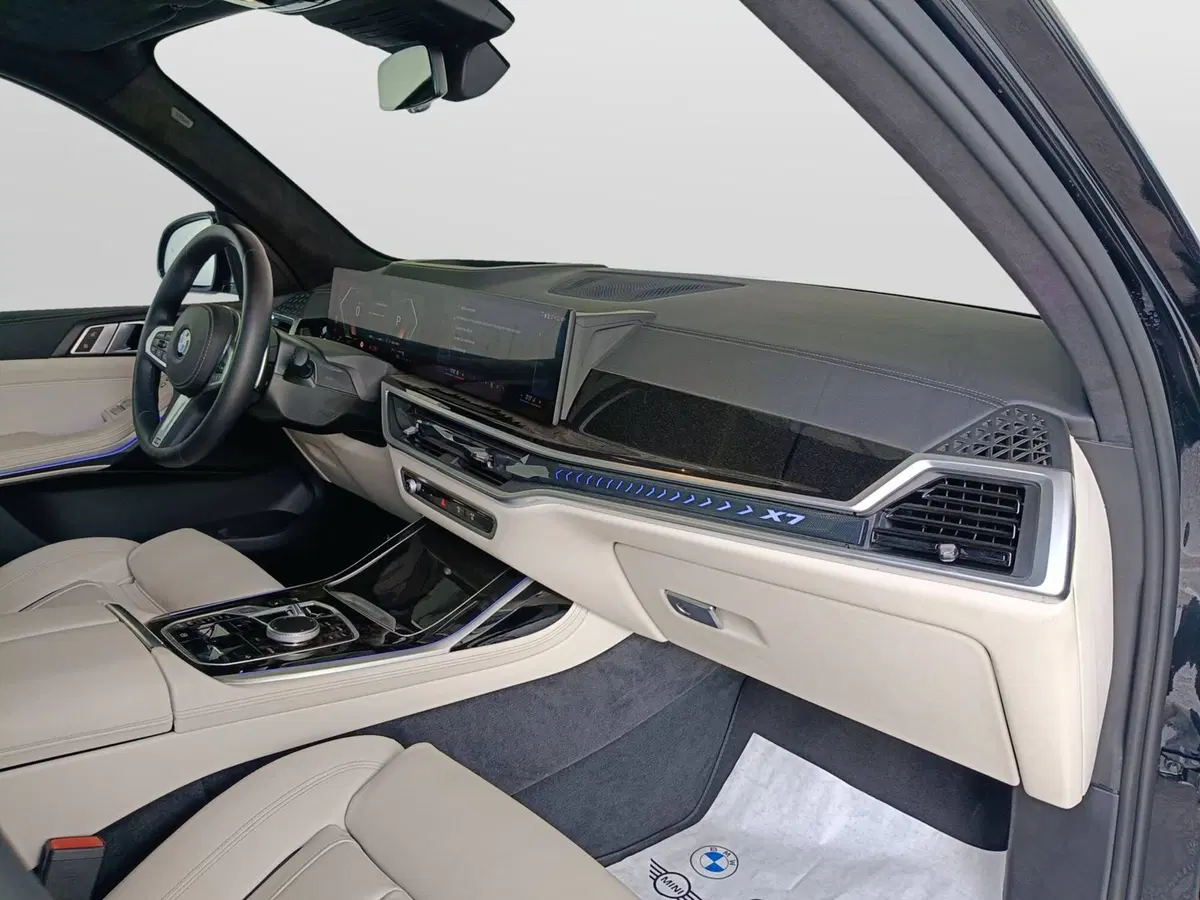 BMW X7 usata a Ascoli Piceno (12)