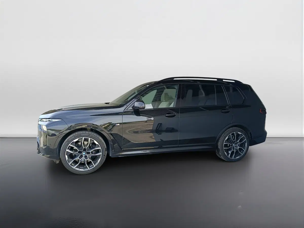 BMW X7 usata a Ascoli Piceno (3)