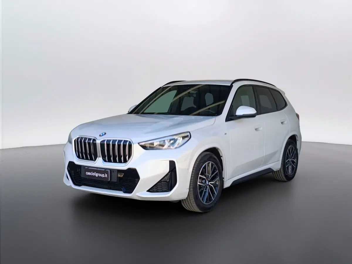 BMW X1 usata a Ascoli Piceno