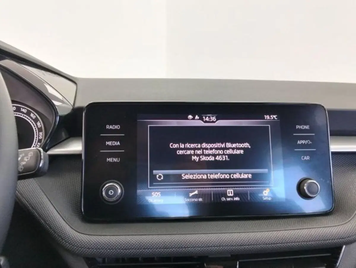Skoda Fabia usata a Como (13)