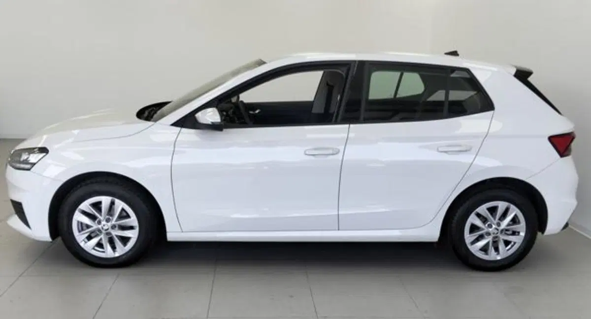 Skoda Fabia usata a Como (8)