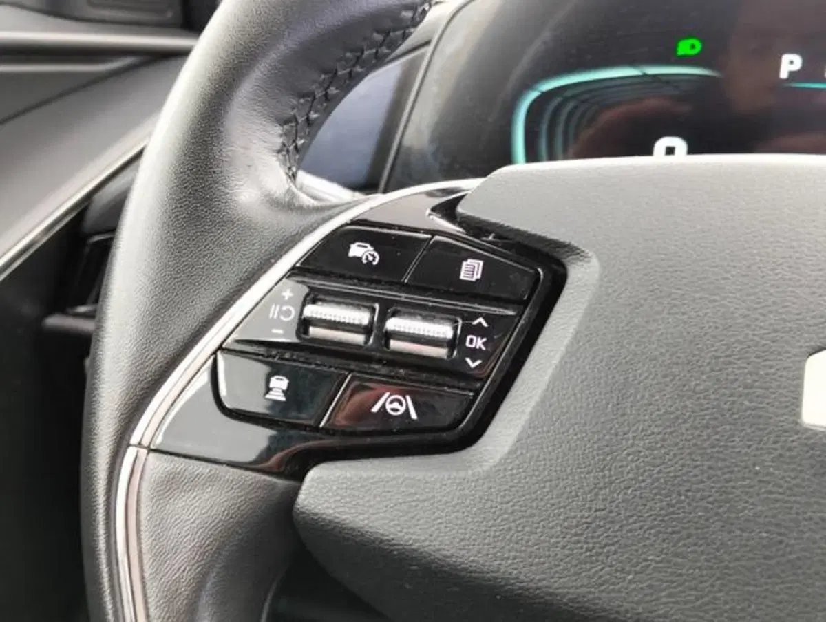 Kia Niro usata a Como (11)