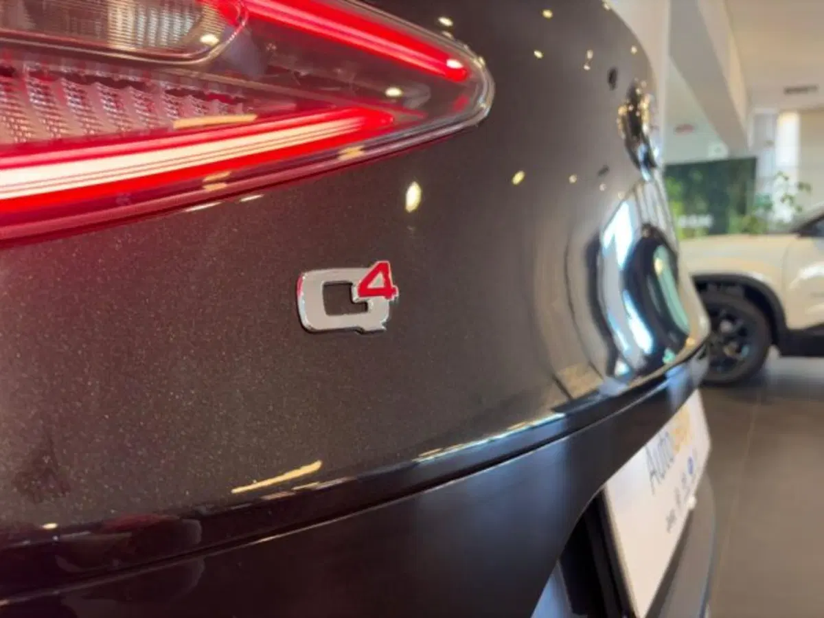 Alfa Romeo Stelvio usata a Modena (13)