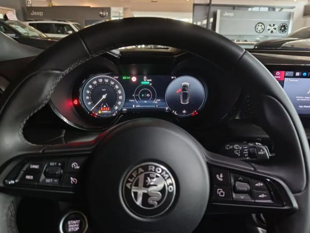 Alfa Romeo Tonale usata a Modena (15)