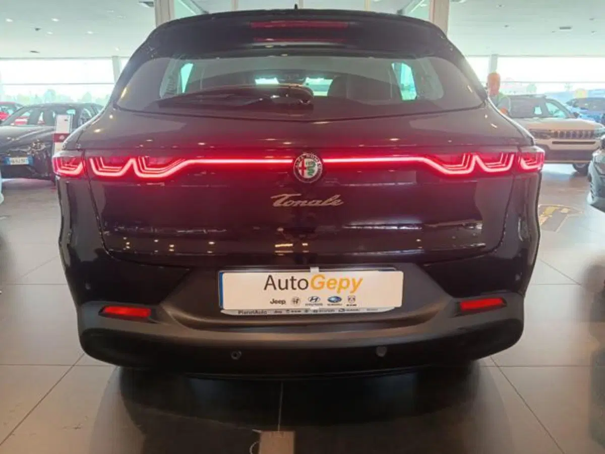 Alfa Romeo Tonale usata a Modena (5)