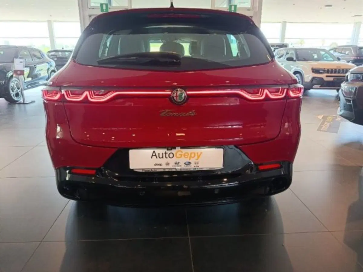 Alfa Romeo Tonale usata a Modena (15)