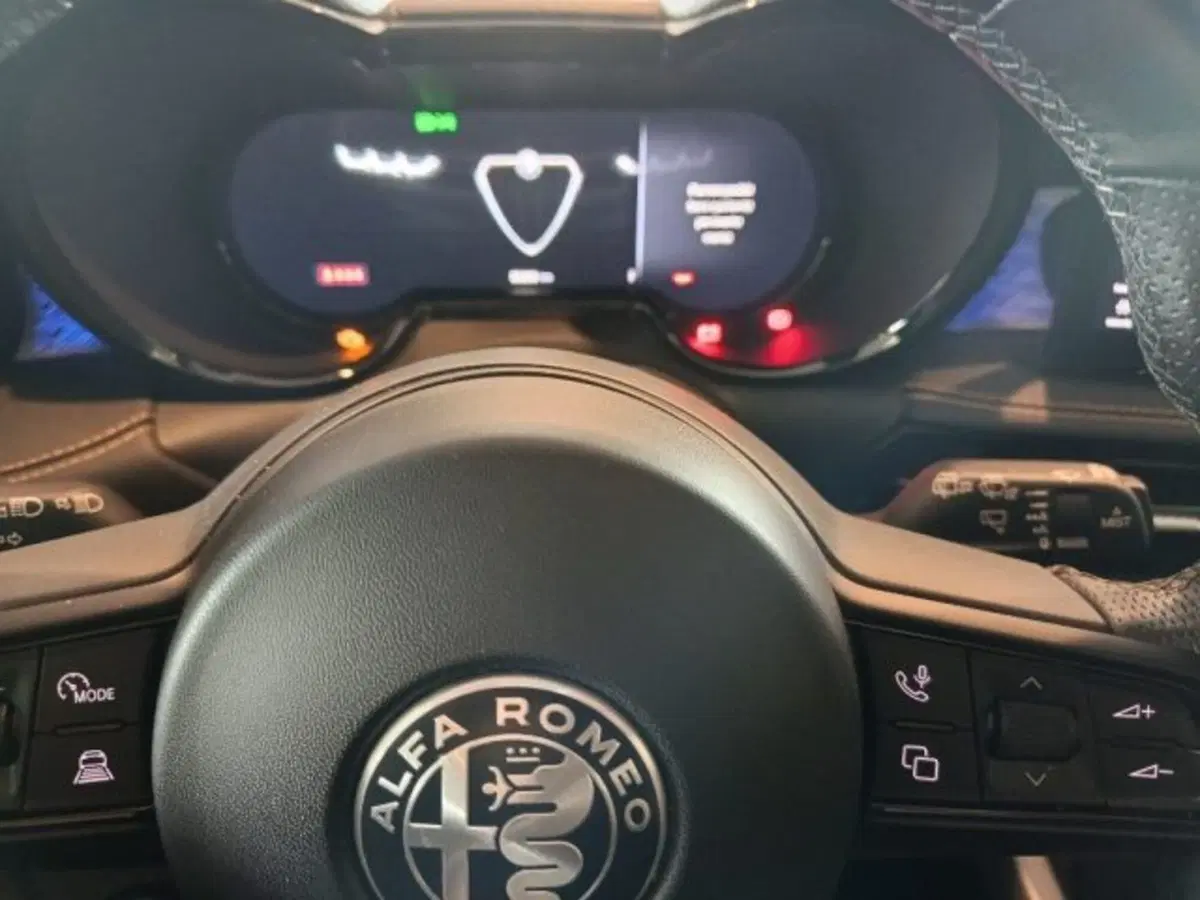 Alfa Romeo Tonale usata a Modena (2)