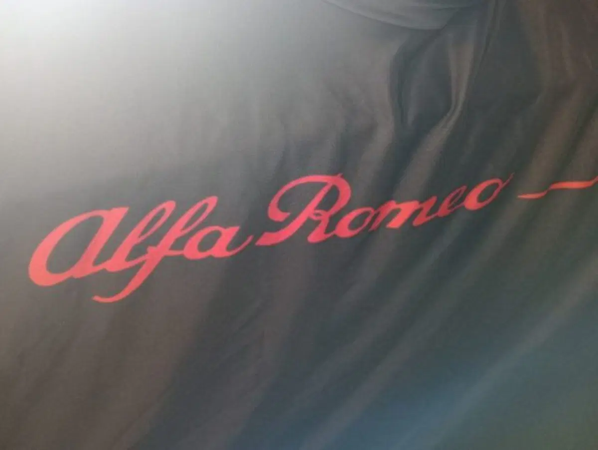 Alfa Romeo Brera usata a Modena (3)