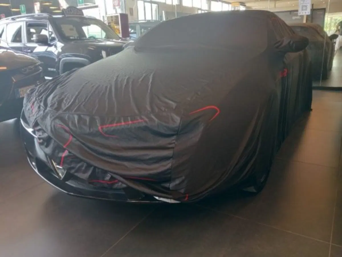 Alfa Romeo Brera usata a Modena (8)