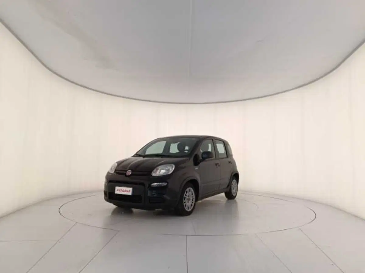 Fiat Panda usata a Treviso