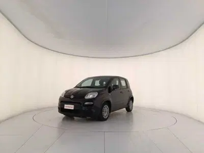 Fiat Panda 1.0 firefly hybrid s&s 70cv 5p.ti del 2023 usata a Montebelluna