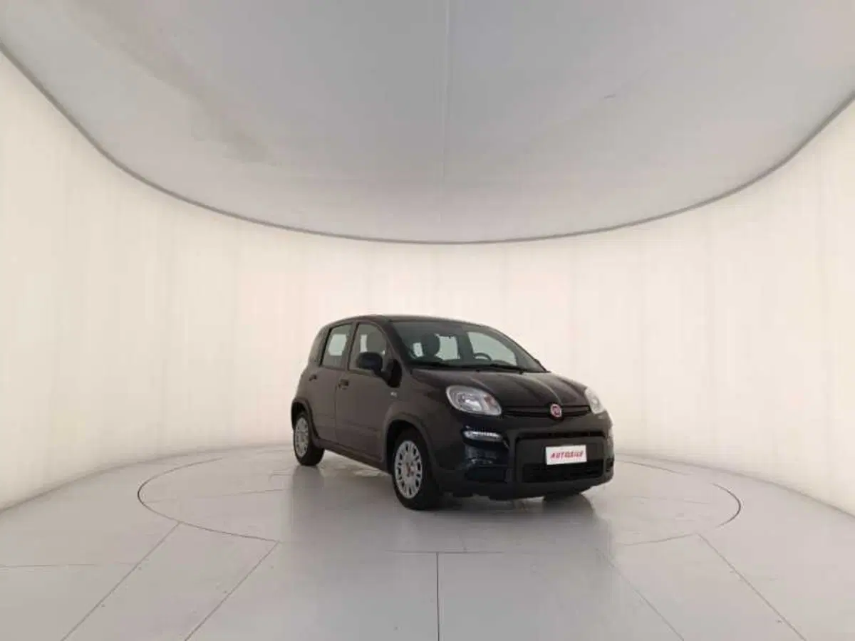 Fiat Panda usata a Treviso (3)