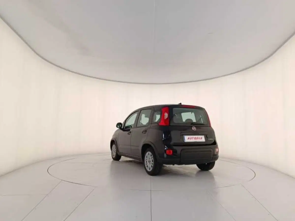 Fiat Panda usata a Treviso (4)