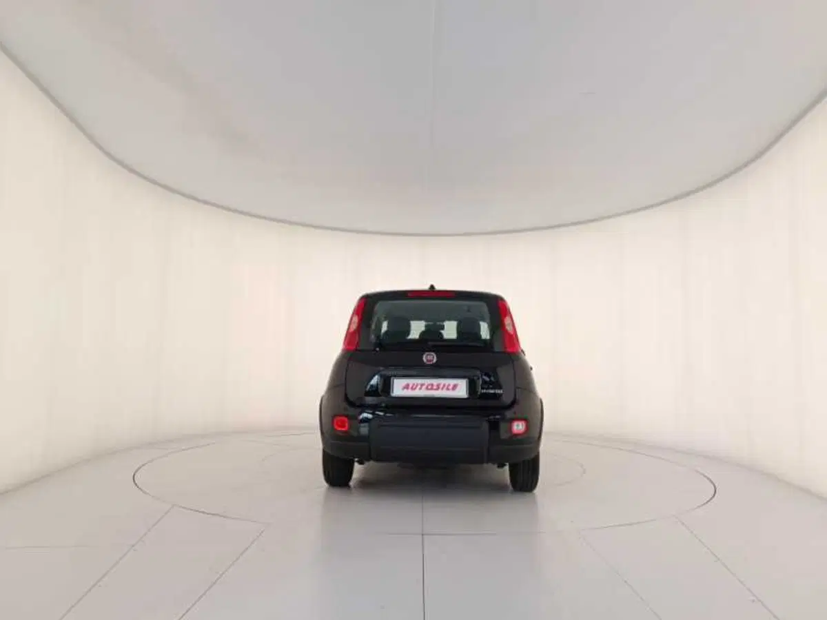 Fiat Panda usata a Treviso (5)