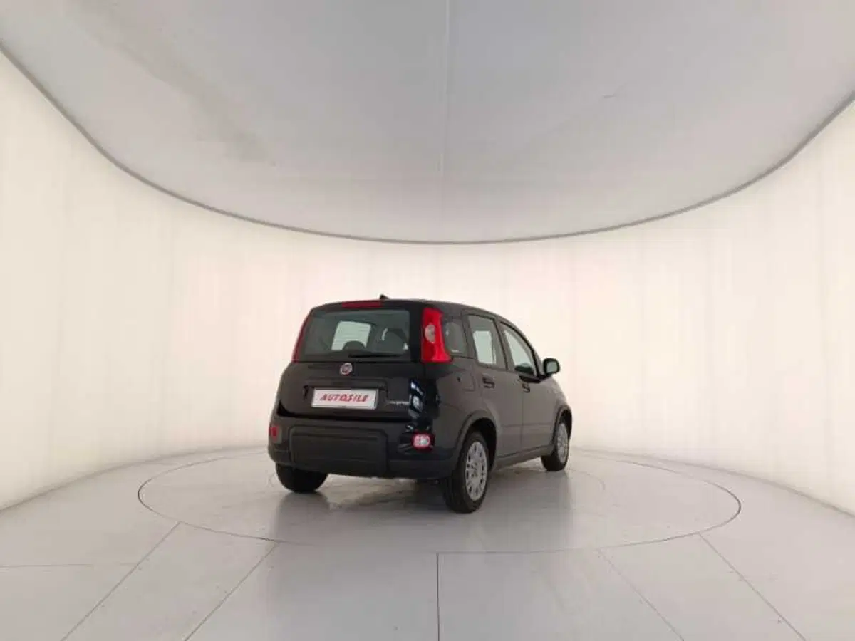 Fiat Panda usata a Treviso (6)