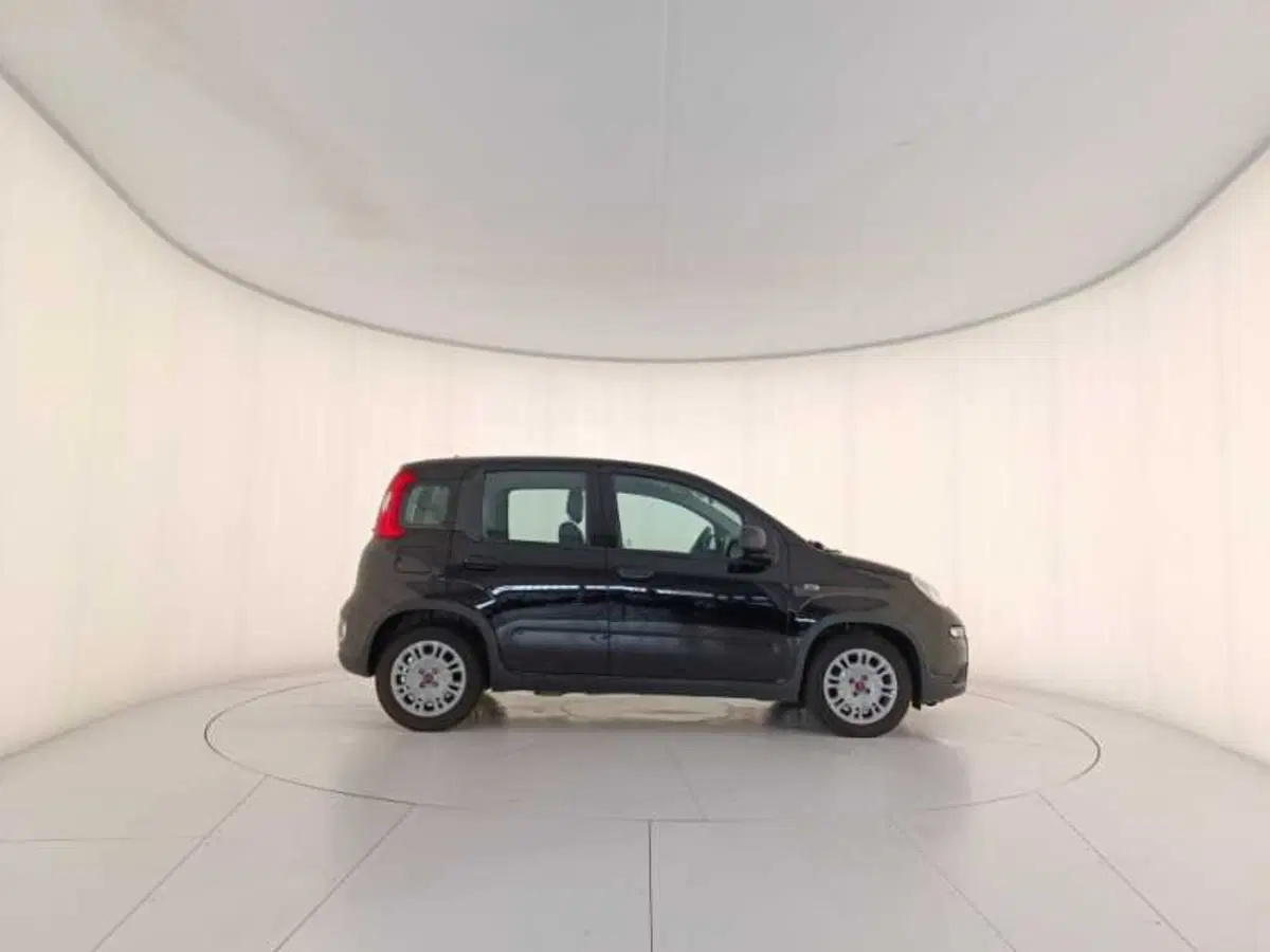 Fiat Panda usata a Treviso (7)
