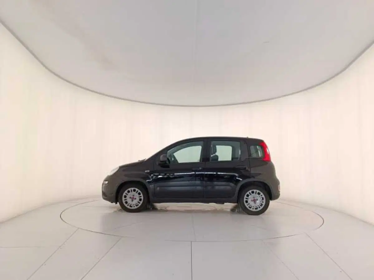 Fiat Panda usata a Treviso (8)