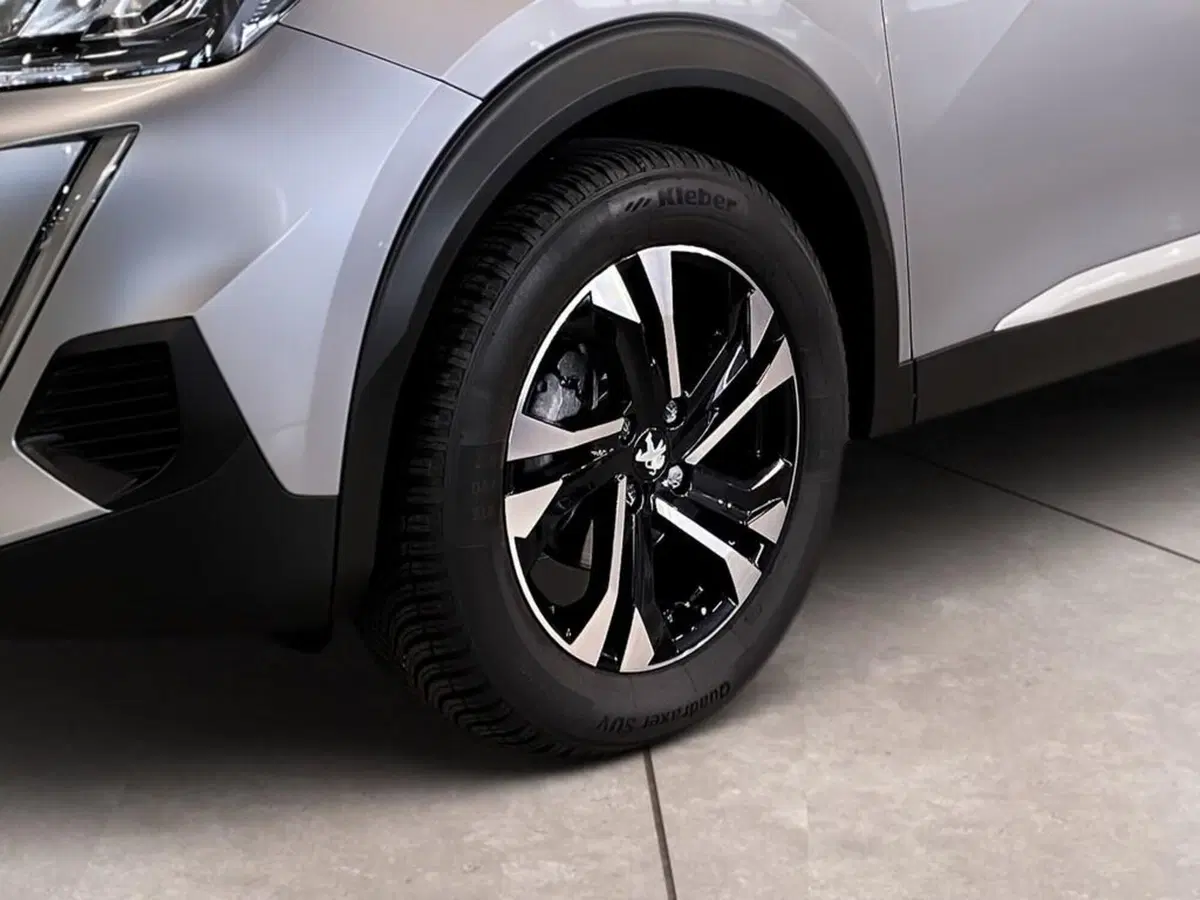 Peugeot 2008 usata a Torino (15)
