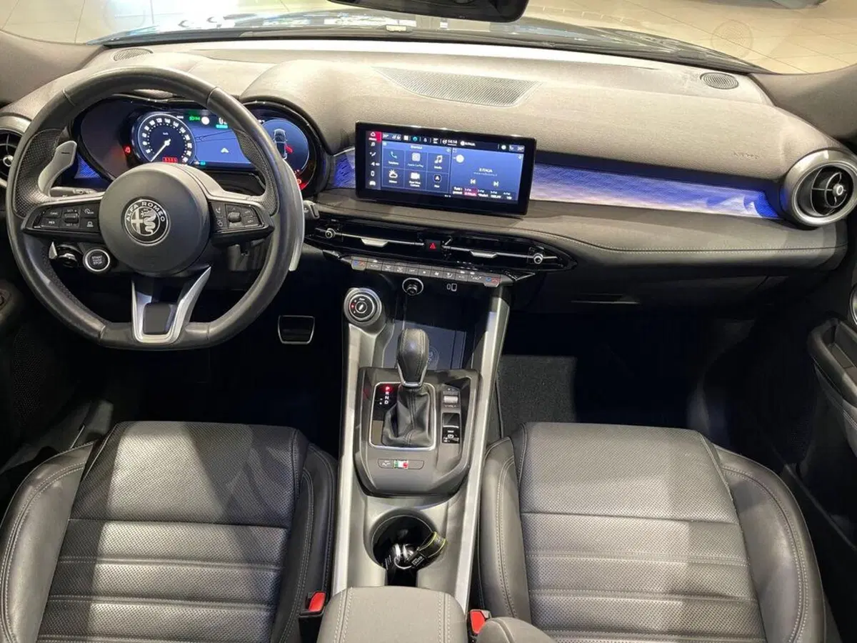Alfa Romeo Tonale usata a Sondrio (13)