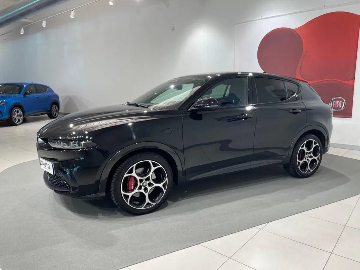 Alfa Romeo Tonale usata a Sondrio (2)