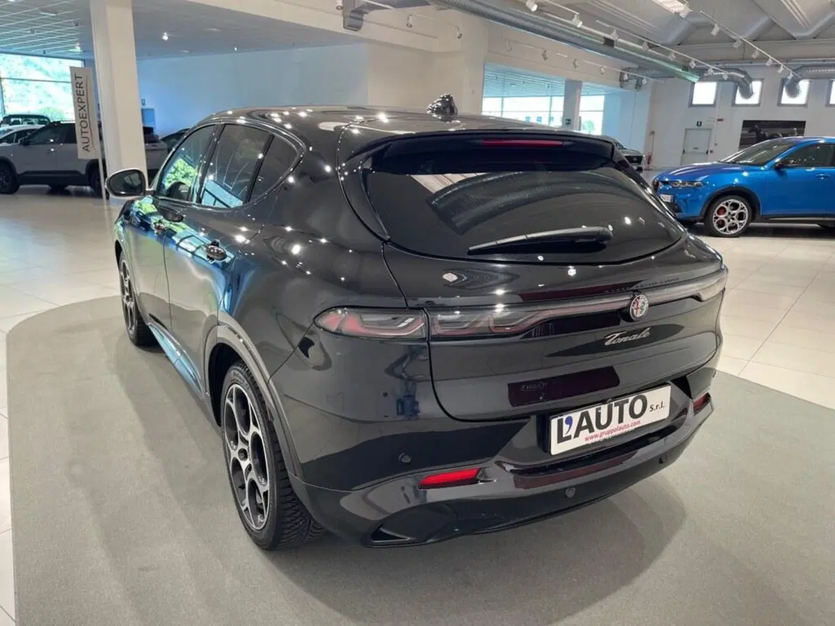 Alfa Romeo Tonale usata a Sondrio (4)
