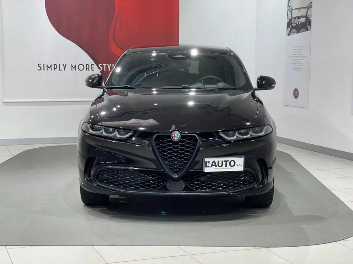 Alfa Romeo Tonale usata a Sondrio (8)