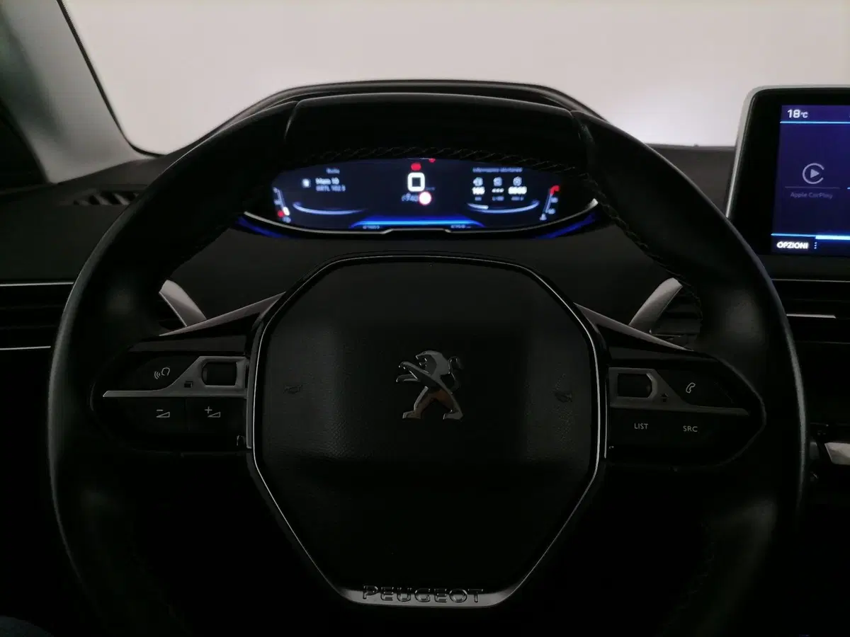 Peugeot 3008 usata a Roma (20)