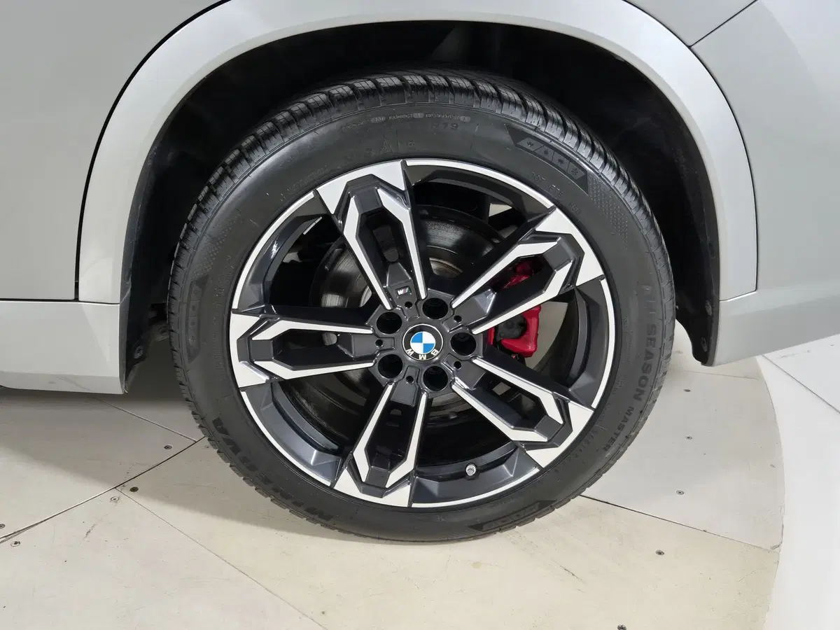 BMW X1 usata a Torino (15)