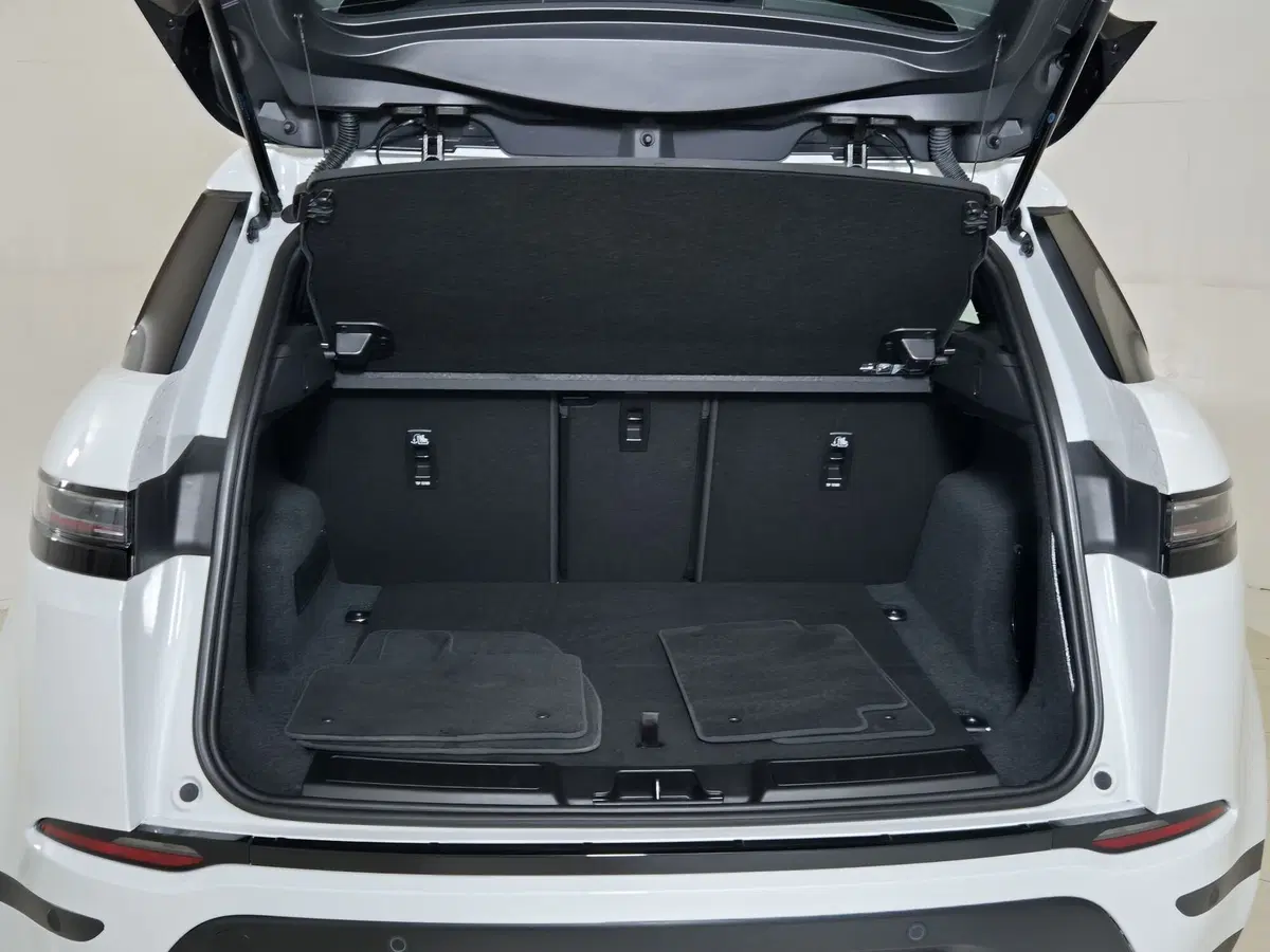 Land Rover Range Rover Evoque usata a Torino (13)